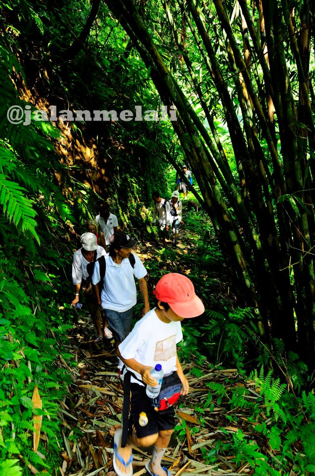 jalanmelali trek