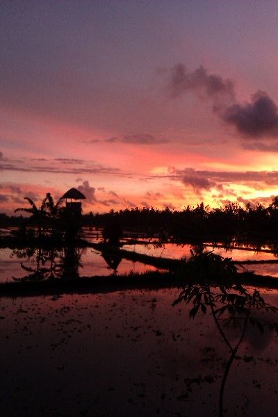 atardecerrojo
