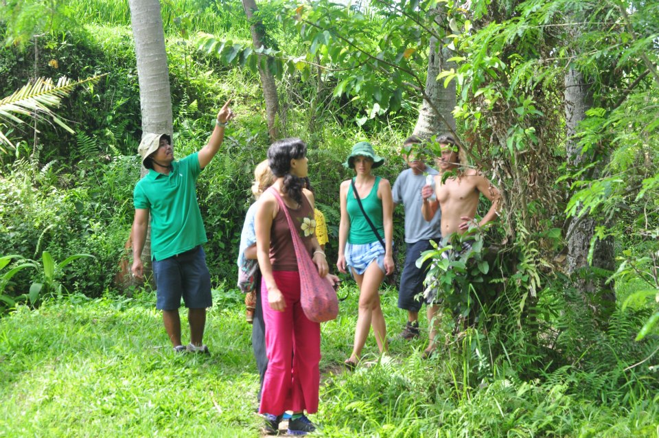 natureherbwalk2