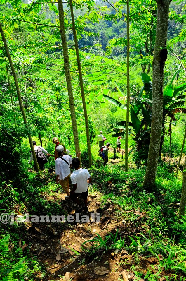 jalanmelali