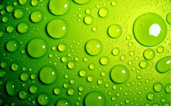 Green Destination: Menjelajahi Surga Bumi yang Lestari