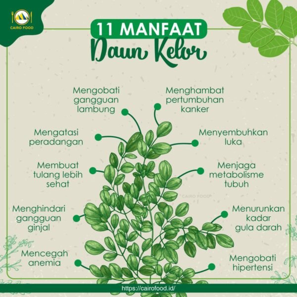 Kekuatan Alam: Mengungkap Manfaat Bahan Alami untuk Kesehatan dan Kesejahteraan