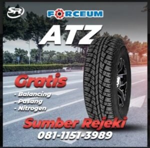 Memilih Sepatu yang Tepat untuk Mobil Kesayangan: Panduan Membeli Ban Mobil Terbaik di Tahun [Tahun Saat Ini]