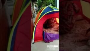 Menjelajahi Alam dengan Nyaman: Panduan Memilih Tenda Camping Terbaik di Tahun [Tahun Sekarang]