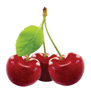 Pesona Sakura: Keindahan Musiman Bunga Sakura di Asia