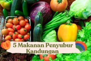 Tentu, mari kita susun artikel informatif tentang kandungan alami terbaik untuk kesehatan, dengan gaya bahasa yang mudah dipahami.
