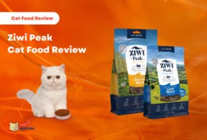 Tentu, mari kita buat artikel tentang review cat air yang informatif dan mudah dipahami.