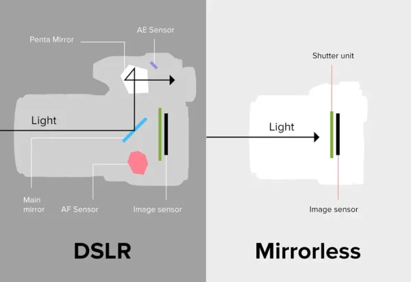 Kamera Mirrorless vs. DSLR: Pertarungan Teknologi di Dunia Fotografi