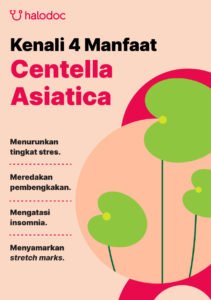 Keajaiban Centella Asiatica: Rahasia Kulit Sehat dan Lebih Banyak Lagi