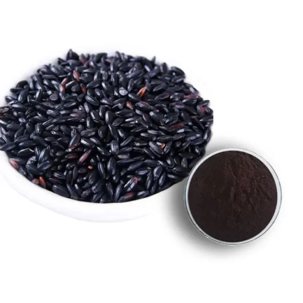 Rahasia Kecantikan Alami: Mengungkap Keajaiban Rice Extract untuk Kulit dan Kesehatan