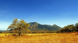 Empat Pilihan Wisata Banyuwangi untuk Akhir Tahun