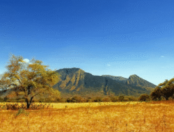 Empat Pilihan Wisata Banyuwangi untuk Akhir Tahun